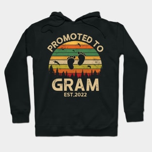 Promoted To Gram Est 2022 Pregnancy Announcement Vintage Hoodie